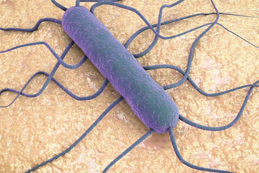 Listeria monocytogenes - Accreditamento Consula Ambiente