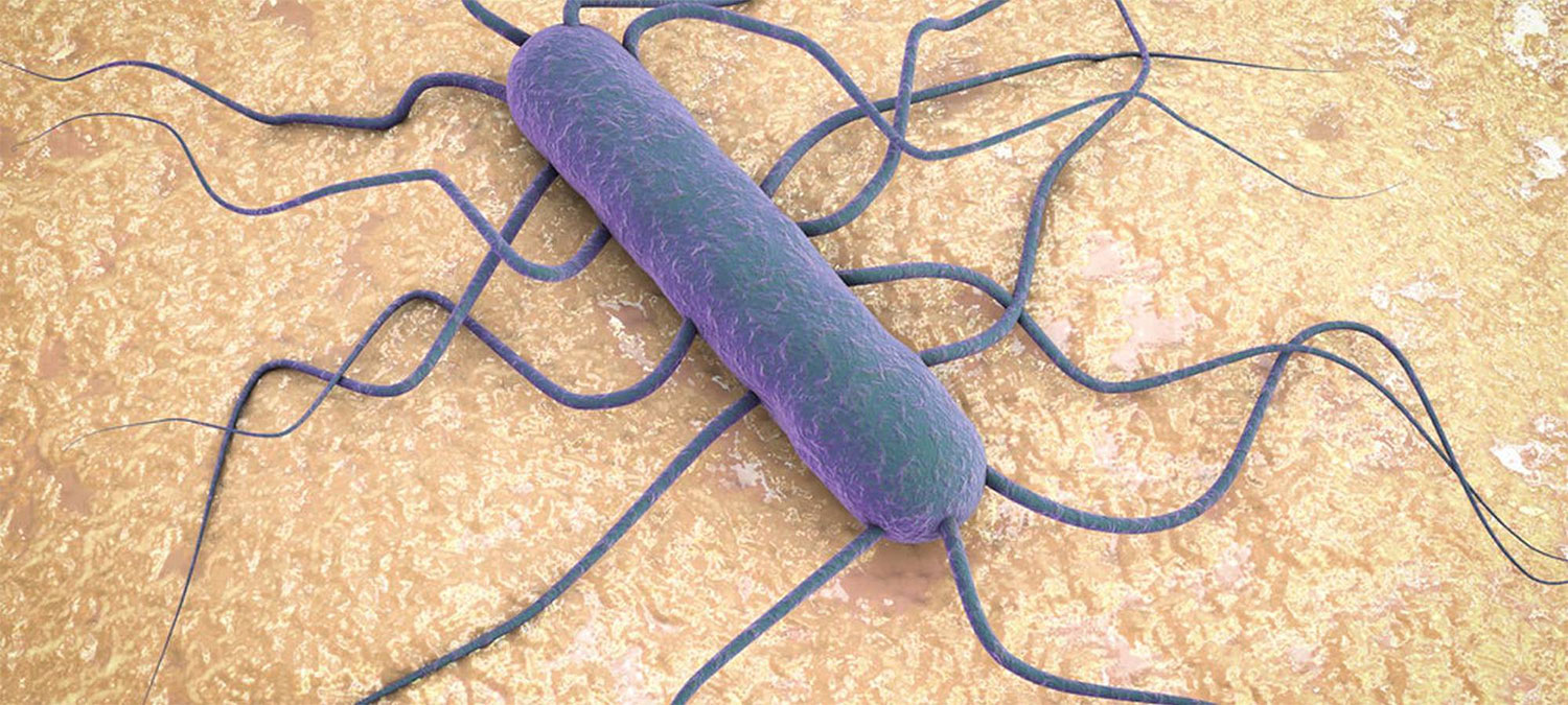 Listeria monocytogenes - Accreditamento Consula Ambiente